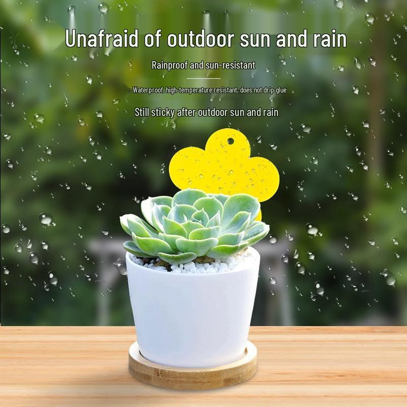 Gele en Blauwe Dubbelzijdige Kleefvallen voor Kleine Vliegjes - Binnen Zomergebruik