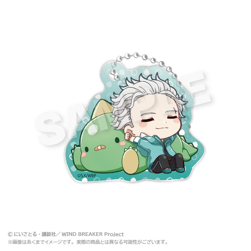 WIND BREAKER Trading Acrylic Keychain Gyaokore Box of 8 ver.