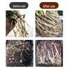 Universal Fast-Acting Rooting Solution for Succulents, Trees, and Flowers - Enhances Strong Root Growth in Seedlings