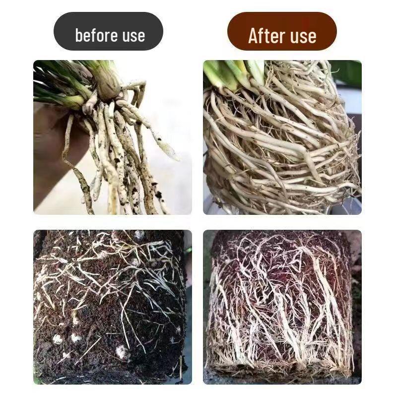 Universal Fast-Acting Rooting Solution for Succulents, Trees, and Flowers - Enhances Strong Root Growth in Seedlings