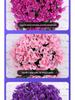 Artificial Violet Flower Vine - Silk Rose Hanging Decor for Weddings and Walls