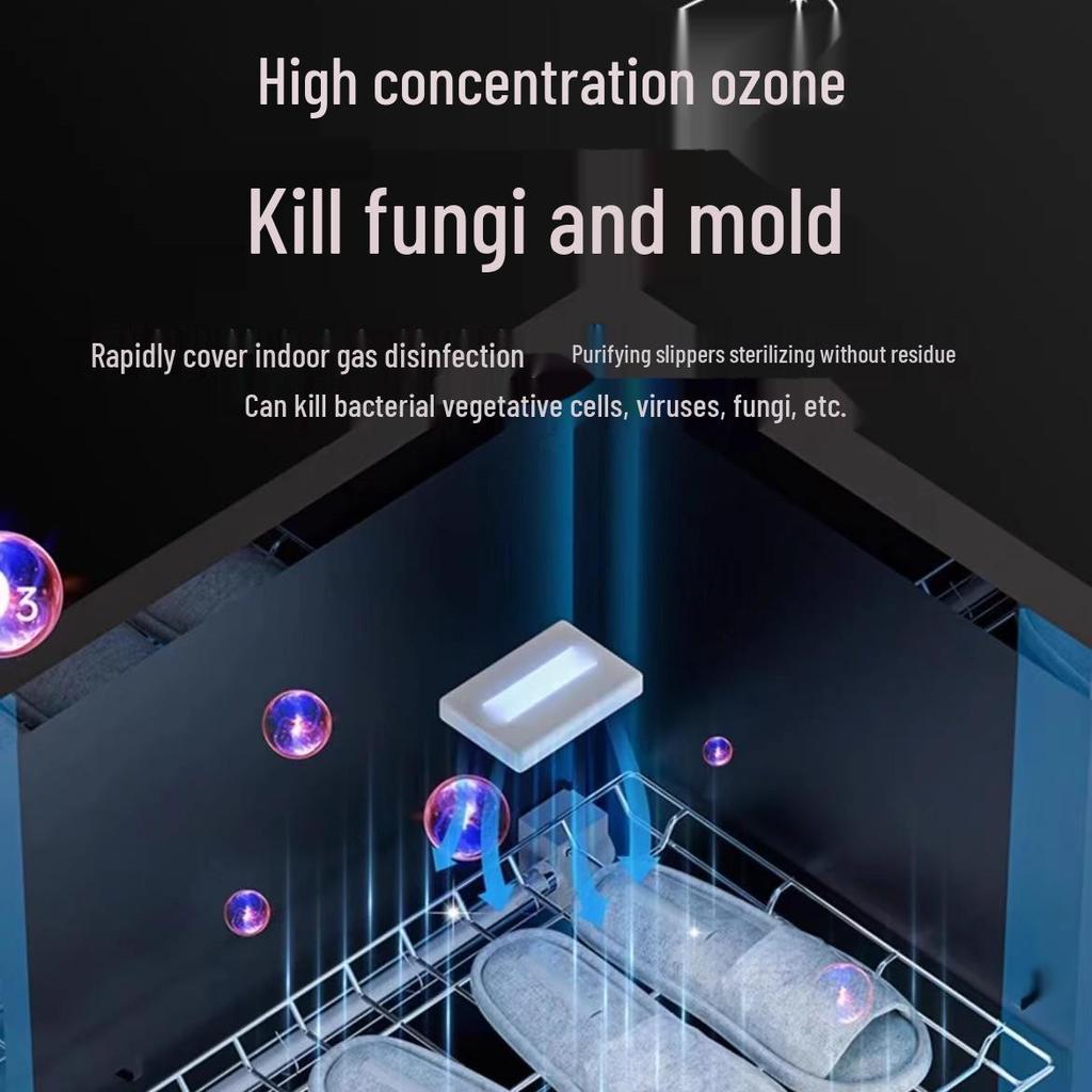 Large Capacity Disinfection Shoe Cabinet for Beauty Salons and Hotels