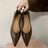 Spring New Style Low Heel Shoes Women's Fashion Pointed Shallow Mouth Set Foot Anti-slip Wear-resistant Heel Shoes