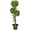 Artificial Plant Artificial Tree 3 Boxwood Balls with Cement Pot, Indoor and Outdoor, Height 115 Cm