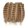 40/48Pcs Assorted Natural Feathers Bulk 6 Styles Peacock Feathers Pheasant Plumage  DIY Crafts