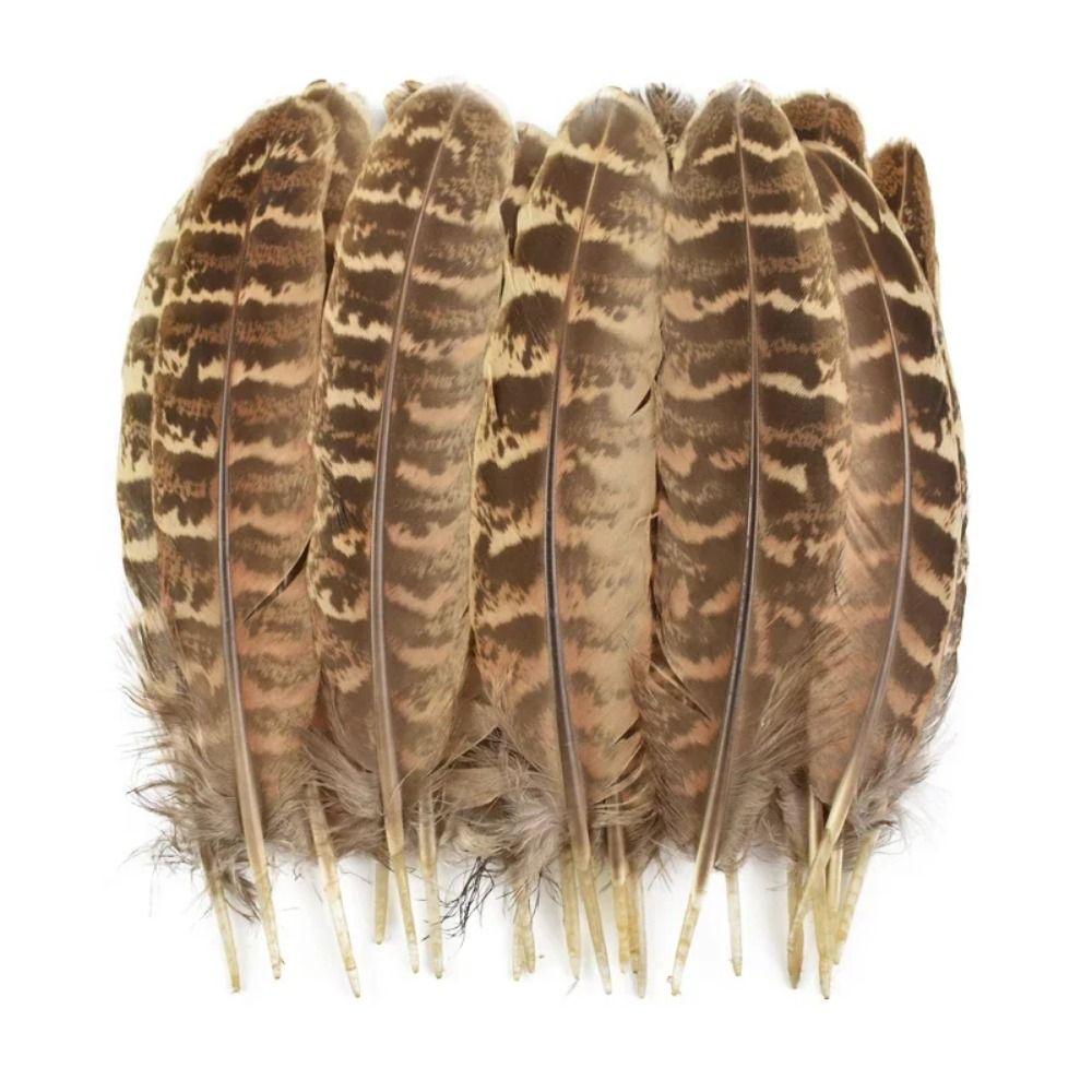 40/48Pcs 6 Styles Natural Feathers Bulk Long Pheasant Plumage Beautifully Mixed Feathers  DIY Crafts