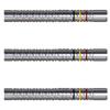 Cosmo Darts Discovery Label François Schweyen 19g 90% Tungsten Darts (François Schweyen)
