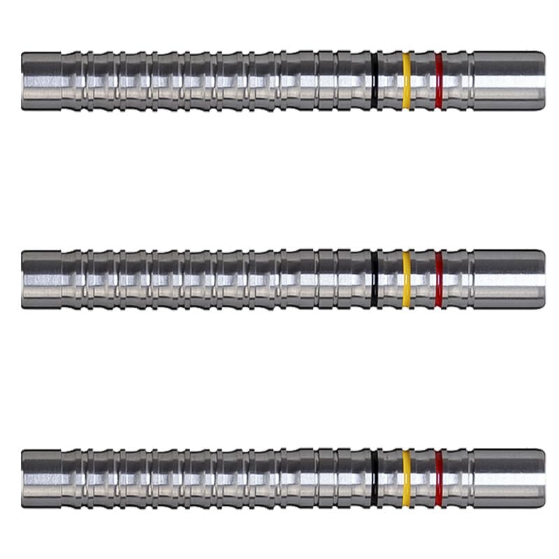 Cosmo Darts Discovery Label François Schweyen 19g 90% Tungsten Darts (François Schweyen)