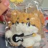 sealed)Lucy Siru Mini Yeobi Doll Keyring Choi Sang-yeop Photocard Include