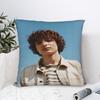 F-Finn Wolfhard Povlak na polštář Vtipný povlak na polštář do kanceláře, auta, domácí dekorace Potisky povlaků na polštáře Dárek