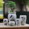 Blue & White Porcelain Flower Pot with Tray for Asparagus Fern, Money Tree, Orchid, Succulents & Bonsai 
