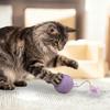 Pet Toys, No Fading, Built-in Rattle Stones, A Gift For Cats To Play With