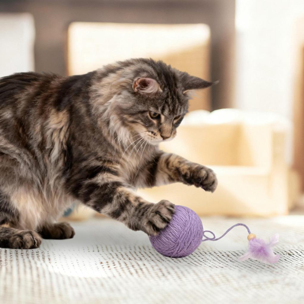 Pet Toys, No Fading, Built-in Rattle Stones, A Gift For Cats To Play With