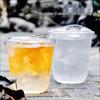 WS Disposable PET Cold Drink Cups