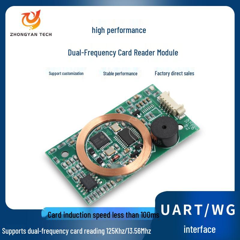 Dual-Frequency RFID Card Reader with TTL Serial and WG Interface for Access Control