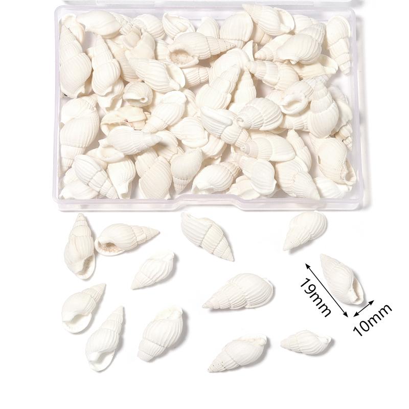 1 Box Sea Shell Spiral Shell Tiny Ocean Spiral Seashell Conch Crafts Aquarium Decoration Landscaping Accessory Photography Props