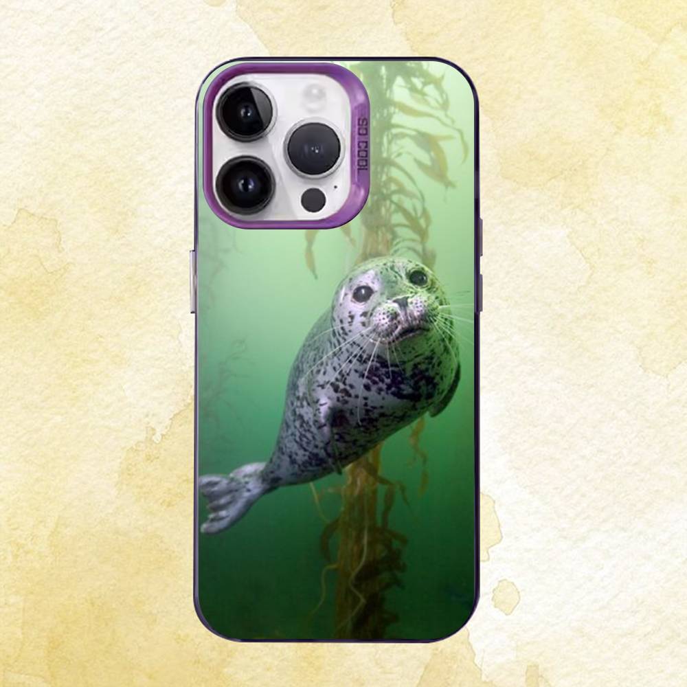 

Чехол для iPhone 17 16e 16 15 14 13 12 11 Pro Max X XR XS MAX 8,7 Air Plus с рисунком животного-тюленя, задняя крышка iPhone14Plus