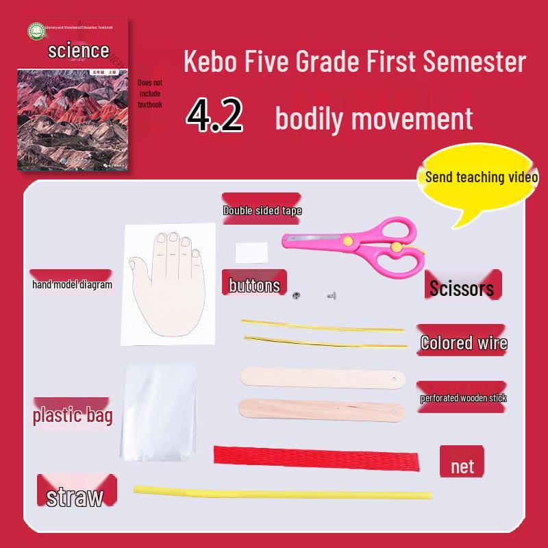 

Fifth Grade Semester 1 Science Experiment Kit & Teaching Aids on Body Movement