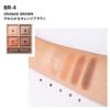 Visee Riche Panorama Design Eye Palette Eyeshadow Orange Brown BR-4 5.5g