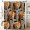Home Decor Shower Curtain Featuring Adorable Orange Tabby Cat Pattern Perfect For Bathroom Decoration