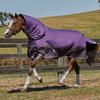 Weatherbeeta Comfitec Lite Plus Dynamic Detach-A-Neck Turnout Rug