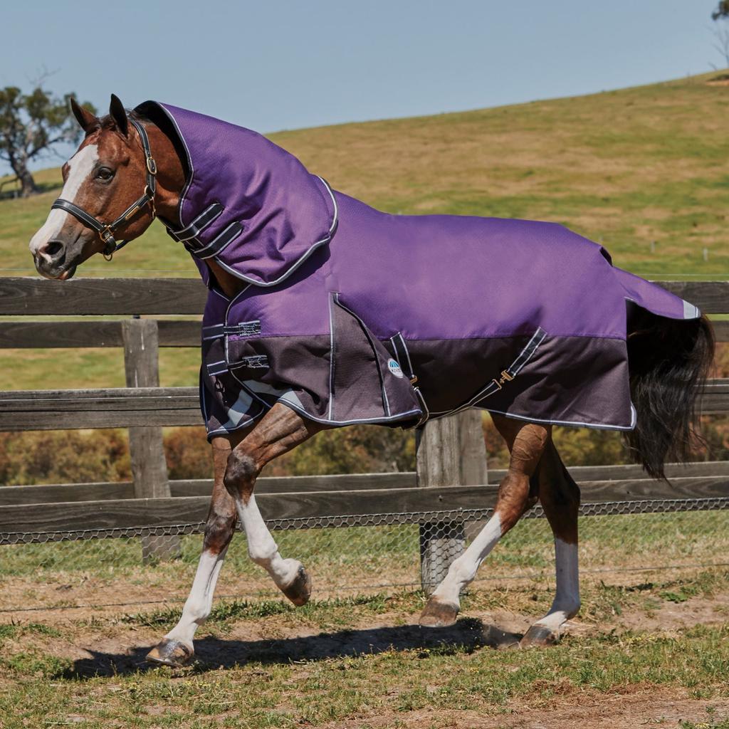 Weatherbeeta Comfitec Lite Plus Dynamic Detach-A-Neck Turnout Rug
