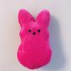 1 Cute Rabbit Plush Doll | Soft and Huggable Stuffed Animal
