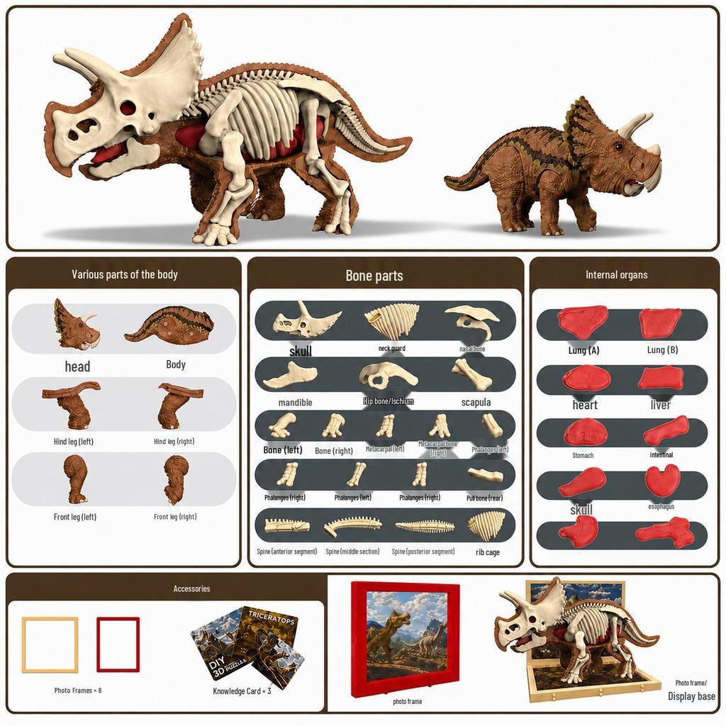 DIY 3D Dinosaur Skeleton Model: Tyrannosaurus & Triceratops