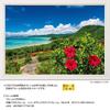 Yanoman in jigsaw Sea and Summer Ishigaki Island includes piece request service and jigsaw puzzle instruction manual [Made Japan] 500-piece puzzle,