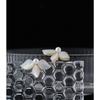 Yhpup Fashion Natural Shell Flower Stud Earrings Statement Simulated Pearls Small Chic Jewelry for Women Aros Mujer Oreja Gift