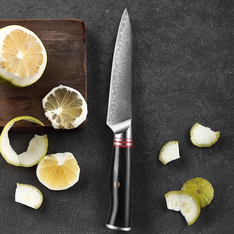 Japanese Utility Knife 5-Inch Boning Knife Damascus Steel 67 Layers Full Tang Damascus Knives Wood Handle Sharp Japanese Knife