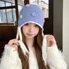 Ear Protection Beanie Cap for Women Windproof Pullover Caps  for Walking Travel Shopping