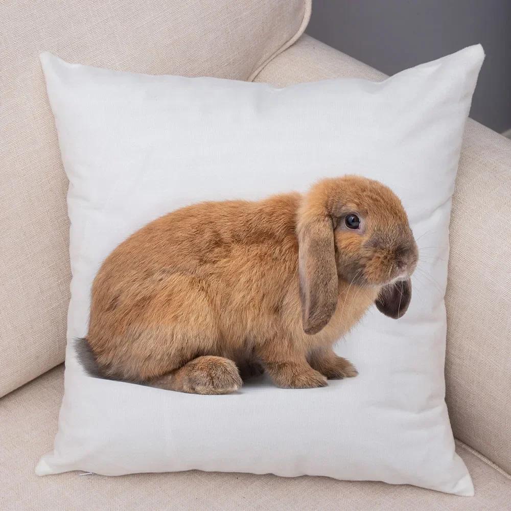 Home Sofa Kids Room Decor Cute Pet Animal Print Cushion Cover Pillowcase  Rabbit