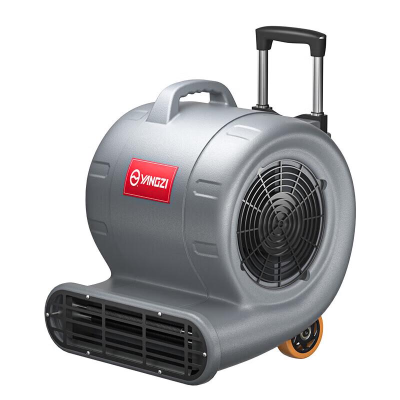 

Plure High Power Floor Dryer Blower CN plug (adapter included)