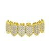 European & American Hip-Hop Gold Grillz: Micro-Inlaid Fangs Jewelry