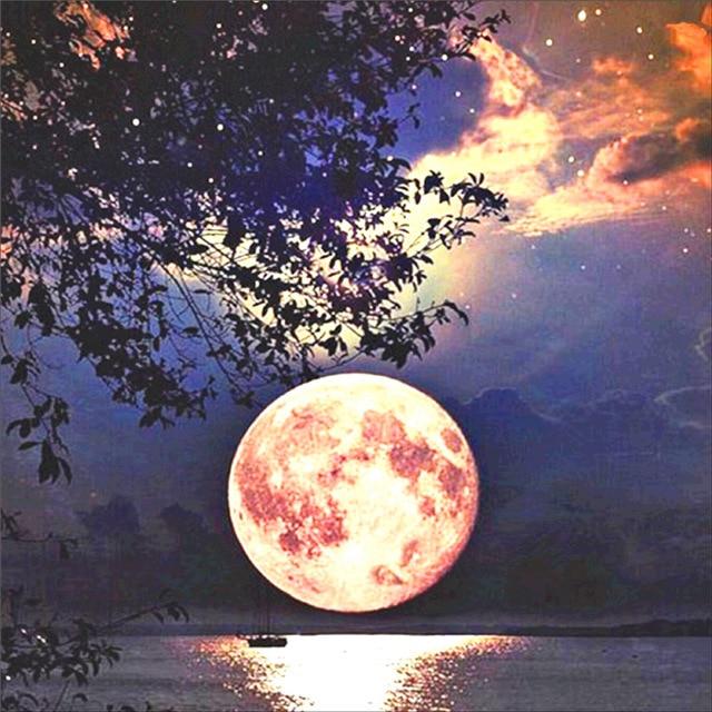 50X50CM 5D Diamond Painting Landscape DIY Full Diamond Moon Tree Embroidery Kit Mosaic Home Decoration