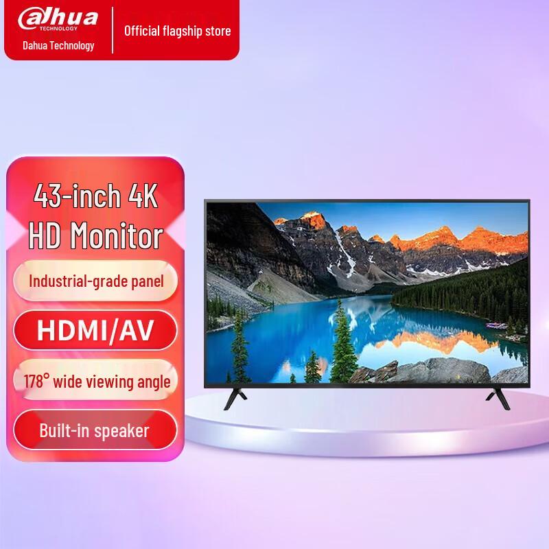 Dahua Professional LED LCD Surveillance Monitor