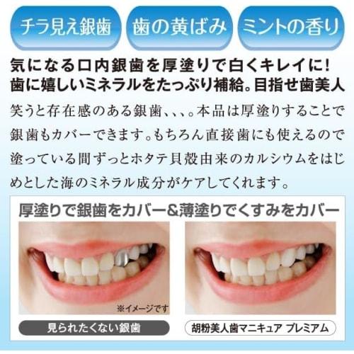 Gofun Bijin Premium Tooth Polish, 3.5ml, for Concealing Silver Teeth