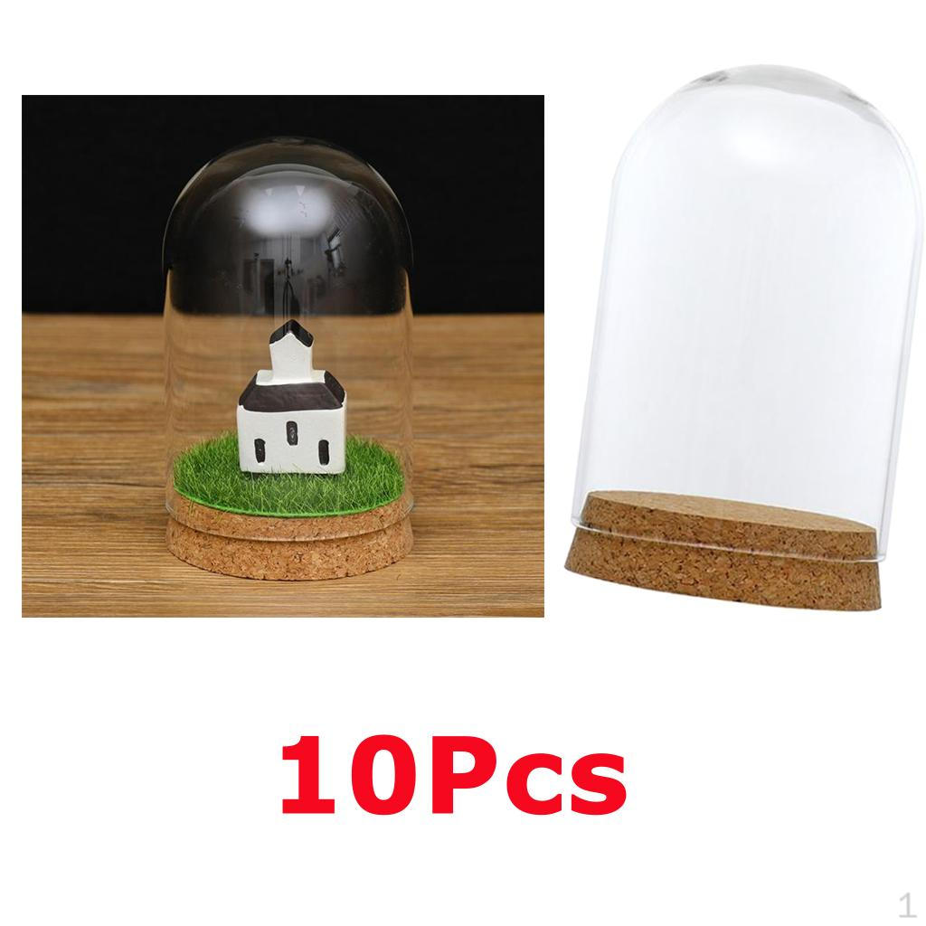 

10 Glass Lid Landscape Terrarium Container