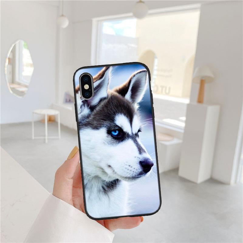 LO53 Husky Puppy Dog Soft Shell Phone Case for iPhone SE X XS XR 11 16E 17 Pro Max Air 8 7 6 6s Plus