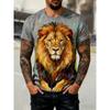 Jackets, men's printed T-shirts, fashionable prints, street style