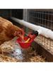QX2E 24X Automatic Poultry Drinking Bowls Featuring Attachment Hoses And Fastening Tape Permanent Plastic Chicken Water Supply