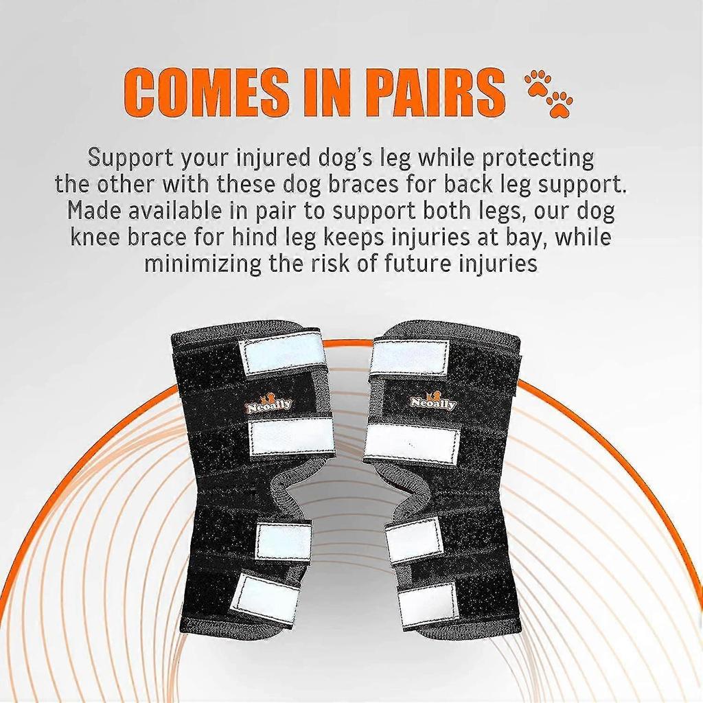 Férula Trasera para Perro Soporte Articulación del Corvejón Trasero Canino Con Correas Reflectantes de Seguridad Para Protección Contra Lesiones Articulares Esguinces 1 Par