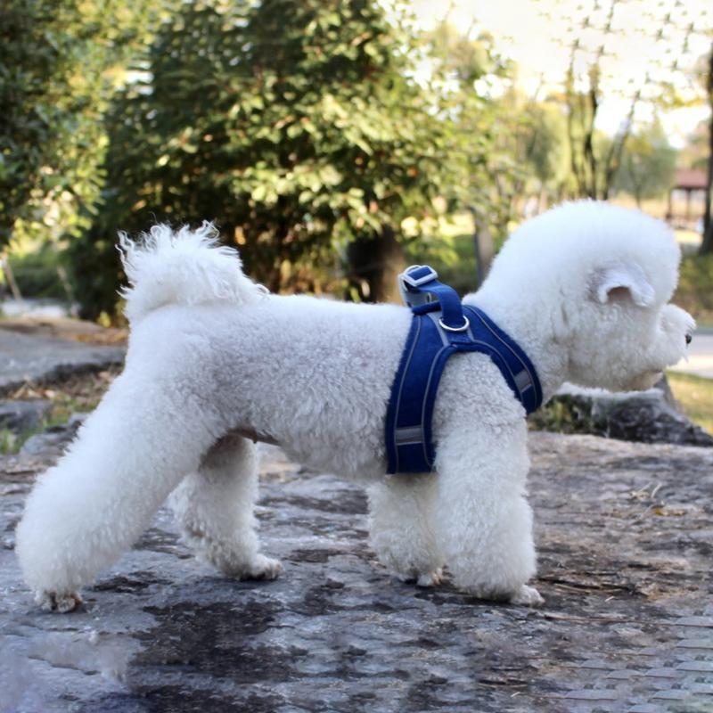Pet Clothes Plaid Clothes Dog Hat Clothes Suit Summer Pet Sunscreen Small And Medium Dogs