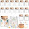 Lot de 24 Petites Bouteilles en Verre Bouchées Liège, 50 ml / 1,7 Oz, Petits Pots en Verre Pots à Sortilèges Bouteilles à Potion Transparentes Mini Bouteilles en Verre avec Bouchon en Liège