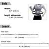 Professional 2022 New Reflective Leash Traction Rope Pet Dog Running Belt Elastic Hands Freely Jogging Pull Dog Leash Metal D-ring Leashes