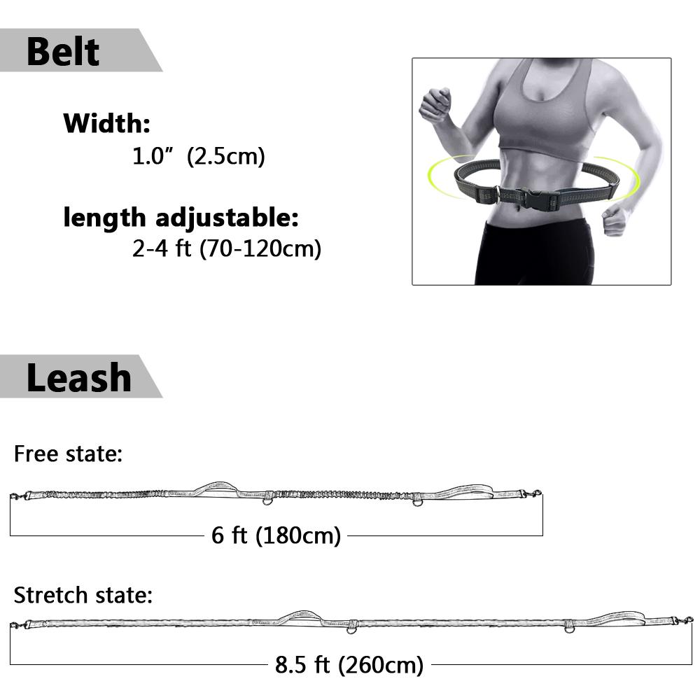 Professional 2022 New Reflective Leash Traction Rope Pet Dog Running Belt Elastic Hands Freely Jogging Pull Dog Leash Metal D-ring Leashes