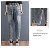 Autumn 2026 Embroidered Ripped Denim Harem Pants