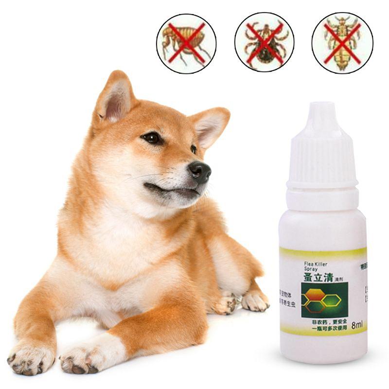 dog flea killer spray