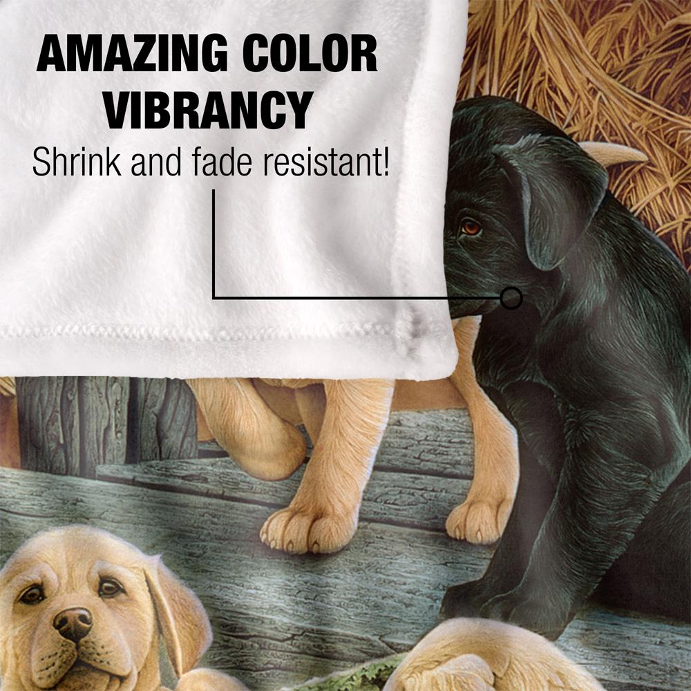 JQ Licensing Silky Labrador Puppies Supersoft Blanket